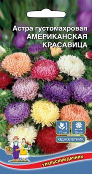 Астра Американская Красавица густомахровая 0,2гр /однолетник