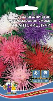 Астра Гигантские Лучи смесь игольчатая,густомахровая /однолетник