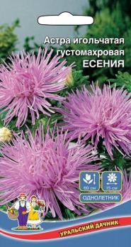 Астра Есения игольчатая густомахровая /однолетник