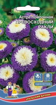 Астра Превосходный Ракли помпонная /однолетник
