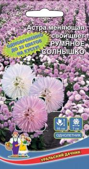 Астра Румяное Солнышко меняющая свой цвет /однолетник