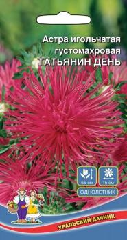 Астра Татьянин День игольчатая густомахровая /однолетник