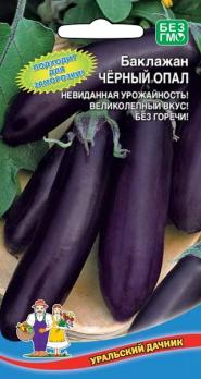 Баклажан Черный Опал среднеспелый