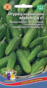 Огурец Маринда F1 8шт Семена из Голландии /суперурожайный раннеспелый