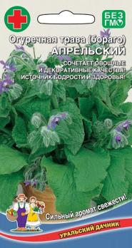 Огуречная трава (бораго) Апрельский скороспелая