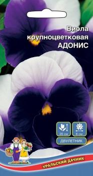 Виола Адонис крупноцветковая /двулетник