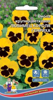 Виола Любимеца Короля Генриха крупноцветковая /двулетник