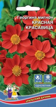 Георгина Мигнон Красная Красавица /однолетник