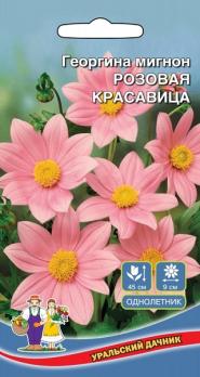 Георгина Розовая Красавица мигнон /однолетник