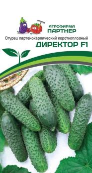 Огурец Директор F1 5шт /среднеспелый партенокарпический