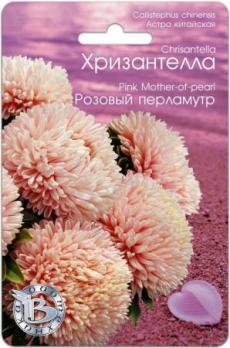 Астра Хризантелла Розовый Перламутр 30шт китайская /однолетник