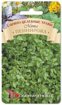 Мята Пеннироял 