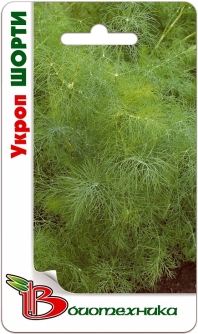 Укроп Шорти