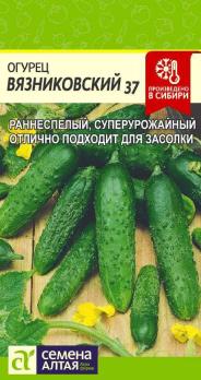 Огурец Вязниковский 37 /0,5гр раннеспел,пчелоопыл
