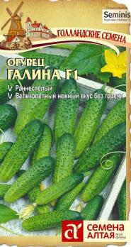 Огурец Галина F1 /5шт раннеспел Seminis (Голландия)
