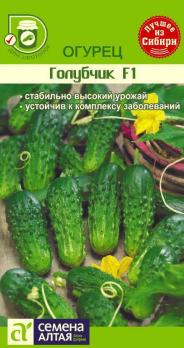 Огурец Голубчик F1 /0,3 гр среднеранний, пчелоопыл 