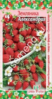 Земляника Александрия 0,05 гр.