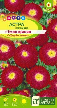 Астра Темно-Красная 0,2гр помпонная /однолетник