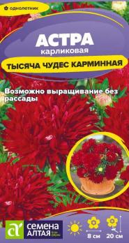 Астра Тысяча Чудес Карминная 0,15гр карликовая /однолетник