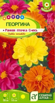Георгина Ранняя Птичка 0,3 гр /однолетник