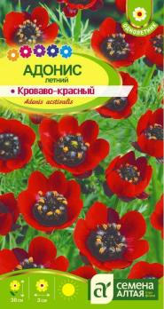 Адонис Кроваво-Красный летний 0,2гр /однолетник