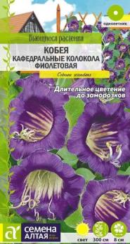 Кобея Кафедральные колокола Фиолетовая лазающая 5шт сер.Вьющиеся растения /однолетник