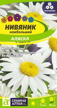 Нивяник Аляска 0,1гр наибольший Н90см /многолетник