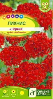 Лихнис халцедонский Зорька 0,1 гр /многолетник