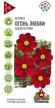 Космея Огонь Любви 0,3гр Н80-150см сер.Удачные семена /однолетник