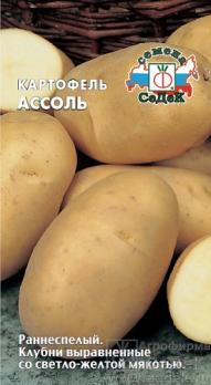 Картофель Ассоль 50с (бел.ранспел)