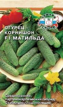 Огурец Матильда F1 /0,2г среднеран,партенок,корнишон