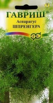 Аспарагус Шпренгера 5шт /комнатные