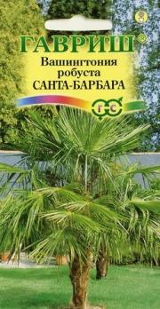 Вашингтония Санта-Барбара робуста 3шт /комнатные