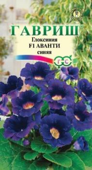 Глоксиния Аванти F1 Синяя  5шт (Драже в пробирке) /комнатные