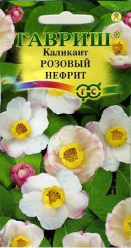 Каликант Розовый Нефрит китайский 3шт /комнатные