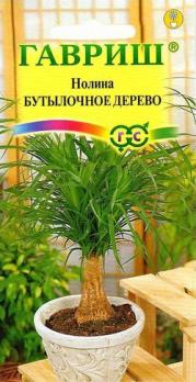 Нолина Бутылочная дерево 3с /комнатные
