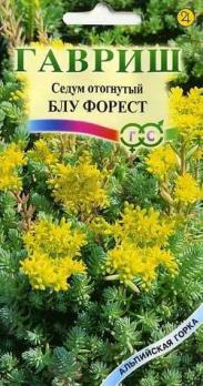 Седум Блу Форест отогнутый  0,01г сер. Альпийская горка