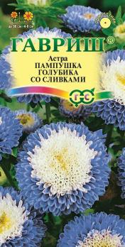 Астра Пампушка Голубика Со Сливками 0,3гр помпонная /однолетник