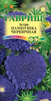Астра Пампушка Черничная 0,3гр помпонная /однолетник