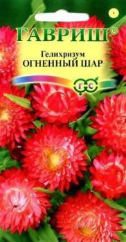 Гелихризум Огненный Шар 0,1гр /однолетник