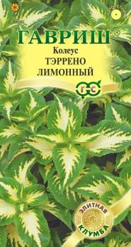 Колеус Тэррено Лимонный 5 шт, 