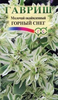 Молочай окаймленный Горный Снег бел/0,5г/80см