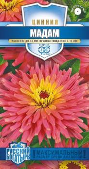 Цинния Мадам 0,2 г сер.Русский богатырь Н18