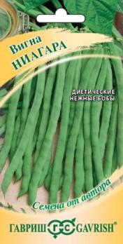 Вигна Ниагара 10шт сер.Семена от автора /среднеспелый сорт/12.28