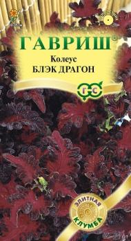Колеус Блэк Драгон 5шт сер.Элитная клумба