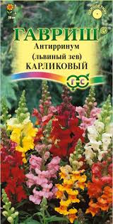 Антирринум (Львиный зев) Карликовый 0,05гр смесь/однолетник