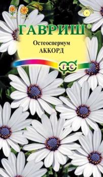 Остеоспермум Аккорд (белый) 0,1гр/однолетник