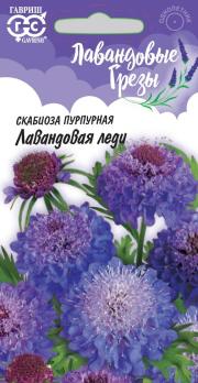 Скабиоза пурпурная Лавандовая Леди махр 0,2г Сер.Лавандовые грезы /однолетник