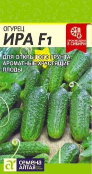 Огурец Ира F1 0,3гр /пчелоопыляемый раннеспелый