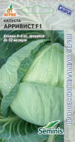 Капуста б/к Арривист F1 /15шт  Seminis 